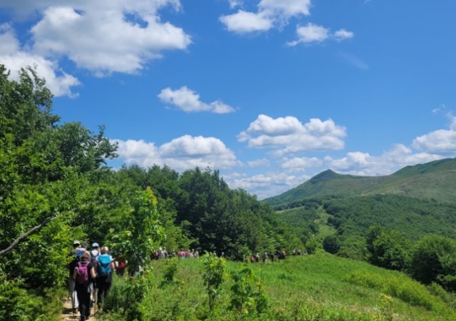 Uczniowie na bieszczadzkim szlaku.
